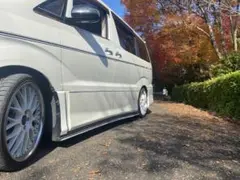 20アルファード 外装