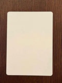 遊戯王 フィラーカード エラーカード テストカード 流出品 カラー 英語