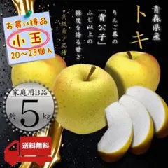 青森県産 ＂ きみと ＂ りんご 家庭用 10kg 産地直送 リンゴ 林檎 青森 りんご 10kg箱 きみと 送料無料 家庭用/訳あり リンゴ 訳あり 10
