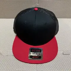 Item thumbnail for item 25584a62-6479-47bc-9f65-e00bbbf1a279