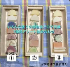 Item thumbnail for item 764be266-c284-4cff-80ff-d132f28d0a3c