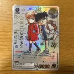 t*8様 灰原哀＆江戸川 mrcp 名探偵コナンカード 哀色の宿命 - メルカリ