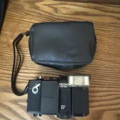 Item thumbnail for item a4f08103-14df-4e95-9a09-31c226ca44f7