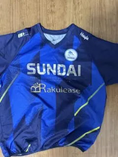 駿台学園バレーボール部 Tシャツ 2XL - メルカリ