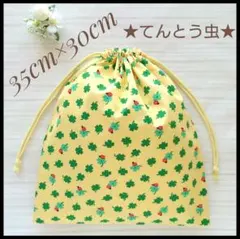 Item thumbnail for item 5f6a71f6-6bb0-4127-abb4-180ee5b33002