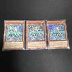 セイクリッド・ソンブレス