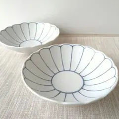 【2枚】新品 日本製 美濃焼 菊線 中鉢 浅鉢 上品 和モダン