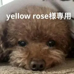 Item thumbnail for item 35e0e24a-e5e2-47bb-a952-dfce2a7efb8e