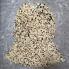 H&M アニマルプリント 長袖ワンピース レオパード Mサイズ g8