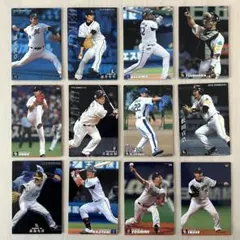 カルビー プロ野球チップス 2014 カード 12枚セット 井端弘和 涌井秀章