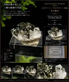 レア】静岡県河津町産 モルデン沸石 原石 二石セット 鉱物標本 - メルカリ