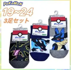 ポケモン　ソックス　メガリザードンX　メガルカリオ　黒いレックウザ　19~24