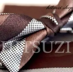 ☆蝶ネクタイ　（ブラウン系&ストライプ柄）　チーフ付き　高級小物 Dhb