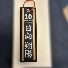 ハイキュー　一番くじ G賞　日向翔陽