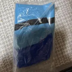 Item thumbnail for item 584f2edf-4f22-408e-b031-1ac49eb5e69f