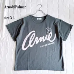 ..Arnold Palmer 半袖Tシャツ XLビッグロゴワッフル生地 グレーのサムネイル
