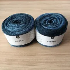 毛糸 cookie 色番46205 (2玉セット)