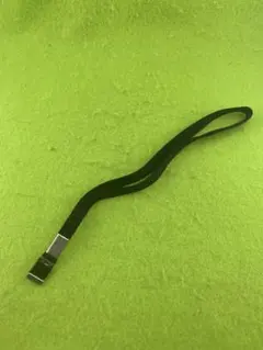 Item thumbnail for item d93976ca-2591-42c8-9246-ca28b6d7a704