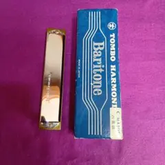 Item thumbnail for item f6cbef49-6172-47b5-94e6-f7177cde6440