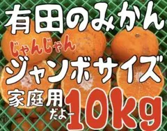 有田のみかん2092じゃんじゃんジャンボサイズ10kg 大玉　家庭用訳あり品質