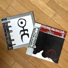 EINSTURZENDE NEUBAUTEN レコード2枚セット 2026年最新】ノイバウテン レコードの人気アイテム - メルカリ