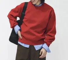 【試着のみ】ティゴラ TIGORA ウォッシャブルニットクルーネック M レッド