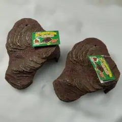 Item thumbnail for item b40b1bc9-63bf-4101-9445-36417724d89f