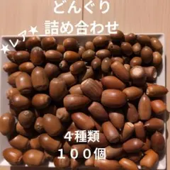 木の実　詰め合わせ　100個　マテバシイ　くぬぎ　イチイガシ★レア★　アラカシ