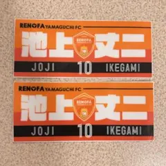 レノファ山口 プレイヤーズステッカー 池上丈二 10