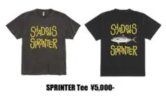 shadows ミュージシャン