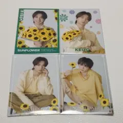 木村慧人 佐藤大樹 フォトカ セット