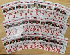 希少】タカラプロ野球カードゲーム 広島東洋カープ 昭和57-62年分