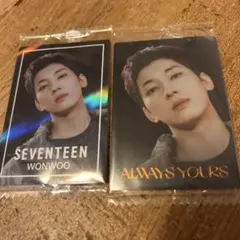 SEVENTEEN WONWOO ウエハース　シールセット