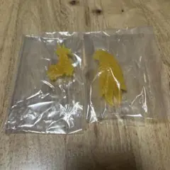 モンスターハンター フィギュア クリアパーツ ジンオウガ