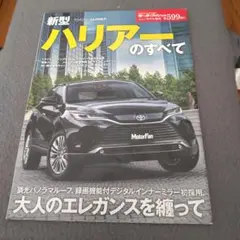 Item thumbnail for item 027e390c-6dee-4863-948e-d75937864fdb