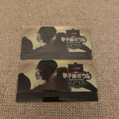 Item thumbnail for item 2b0d8a89-cc57-49b4-b0d6-03e18feee832