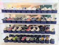 Item thumbnail for item a7ccf449-96a2-4c37-9e66-5c30f674d9c1