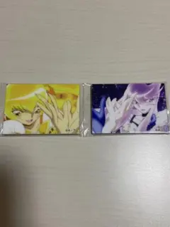 ハートキャッチプリキュア　キュアサンシャイン　キュアムーンライト　マグネット