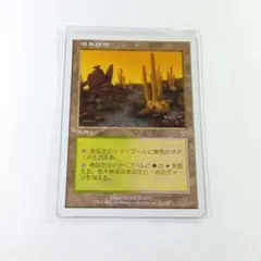 2026年最新】低木林地の人気アイテム - メルカリ