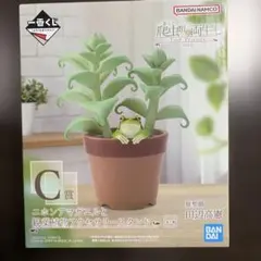 一番くじ 爬虫類&両生類vol.3 C賞