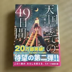 【送料込】天国までの49日間～アナザーストーリー～