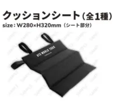 BTS フライングディスクチャレンジ クッションシート マルチクリア