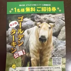 富士サファリパーク 1名様無料ご招待券のサムネイル