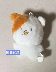 NCT DREAM チソン ぬいぐるみ ポケチ