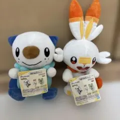 ポケットモンスター つれてってぬいぐるみ ミジュマル ヒバニー