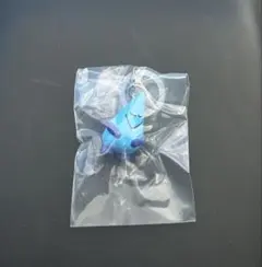 Daisuke Kondo めじるしアクセサリー ametsubu