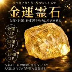 紫龍神御守／高額当選／億万長者／金運／座敷わらし／宝くじ／財運