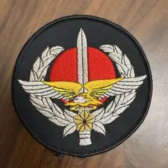 USAAF アーミーエアフォース パッチ ワッペン 実物 40s ビンテージ