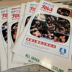 プロレス DYNAMIC BIG SERIES '71 パンフレット スタンプ有 - メルカリ