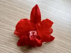 Item thumbnail for item 8445b773-65b2-4100-9205-f85dc86aafa1